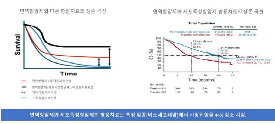 Medi:Gate News : 면역항암제 비용문제로 개구충제 대신...정부 암 기금 도입법안 검토 시작할까?